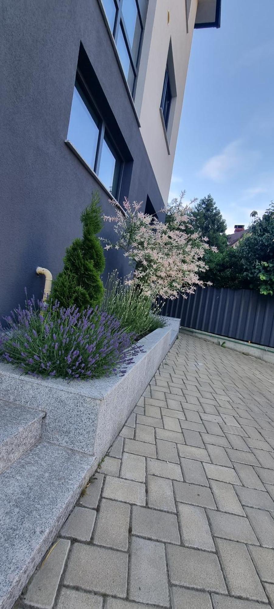 Yla Studio- Piatra Neamt Exterior photo